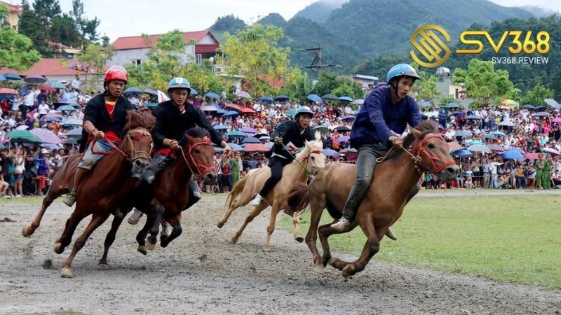 Điểm ưu việt của hình thức cược đua ngựa SV368